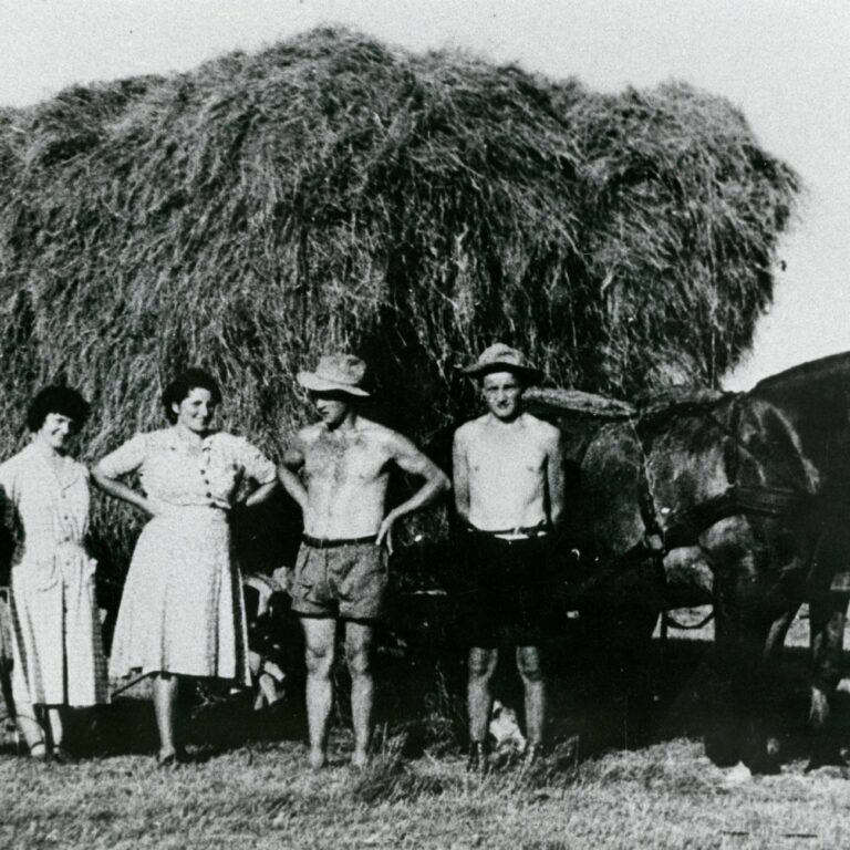 Groupe posant devant une charrette de foin, région de Sélestat
