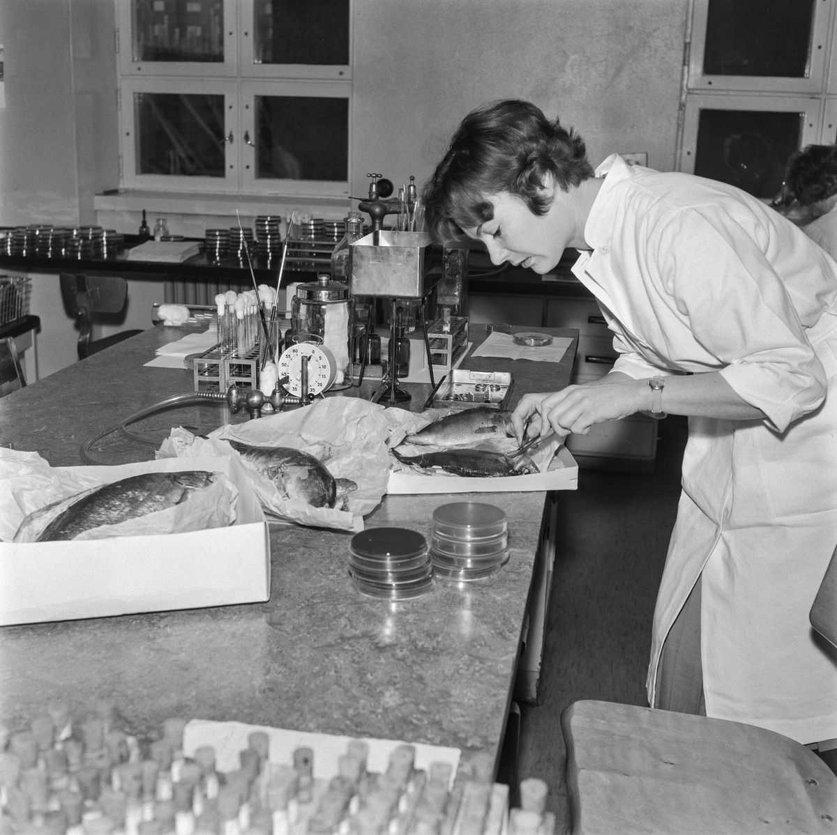 Dr Carlsson dans un institutut de recherche finlandais, 1960
